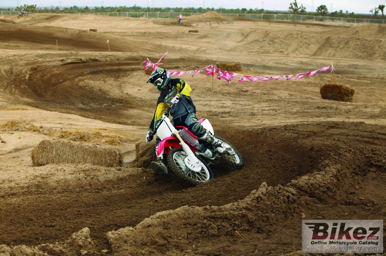 Big Honda crf 250 r picture and wallpaper from Bikez.com